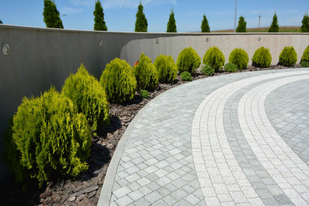 Best Local Driveway Pavers  in Nellieburg, MS