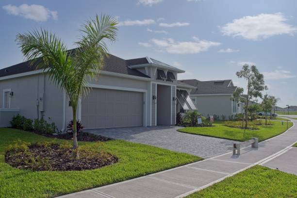 Best Driveway Paving Contractor  in Nellieburg, MS